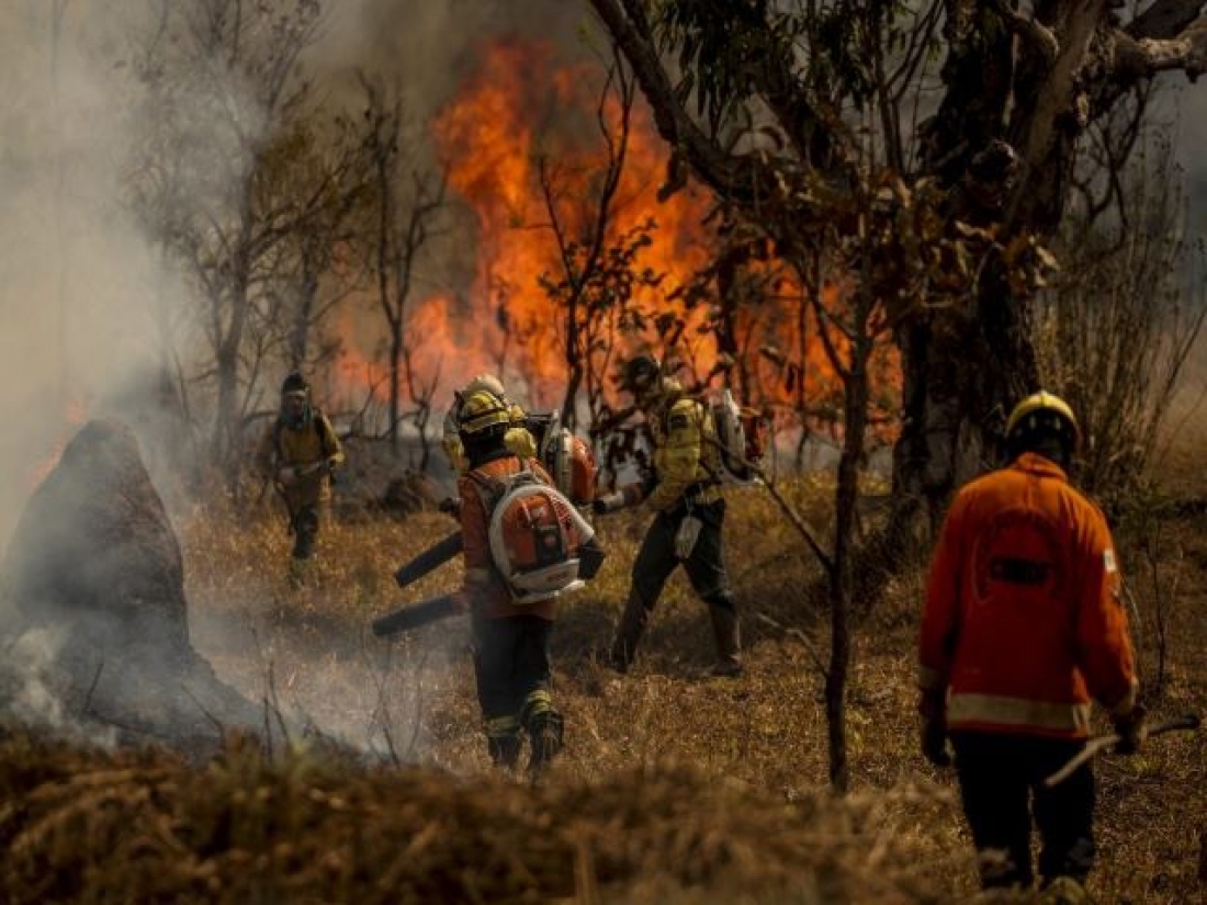 Brasil registra queda de 65,8% nas &aacute;reas queimadas e de 46,4% dos focos de calor em 2025